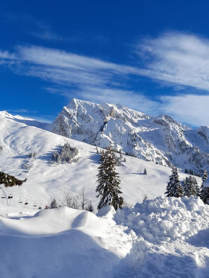 Appartement Au Coeur Des Aravis Manigod Εξωτερικό φωτογραφία